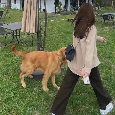 淘气阿丹2